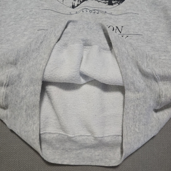 Gear For Sports Princeton University Gray Pullover Sweat Shirt Men's Size Large - Picture 7 of 16